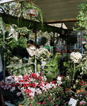 119722 Gezicht op de bloemenmarkt op het Janskerkhof te Utrecht.